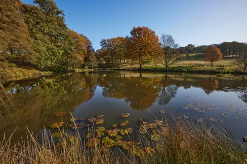 This landscape photograph captures a rural pond in England, United Kingdom, during a bright autumn morning. The scene is dominated by autumn trees displaying golden and orange foliage, which are beautifully reflected in the still water of the pond. In the background, Hardwick Hall, a well-known English country house, is visible amidst the rolling fields and woodland, enhancing the historic appeal of the setting. Water lilies float quietly on the pond’s surface, adding detail to the composition. The overall atmosphere illustrates the tranquillity of rural England in autumn, with the trees and reflections on the water forming the central visual focus.